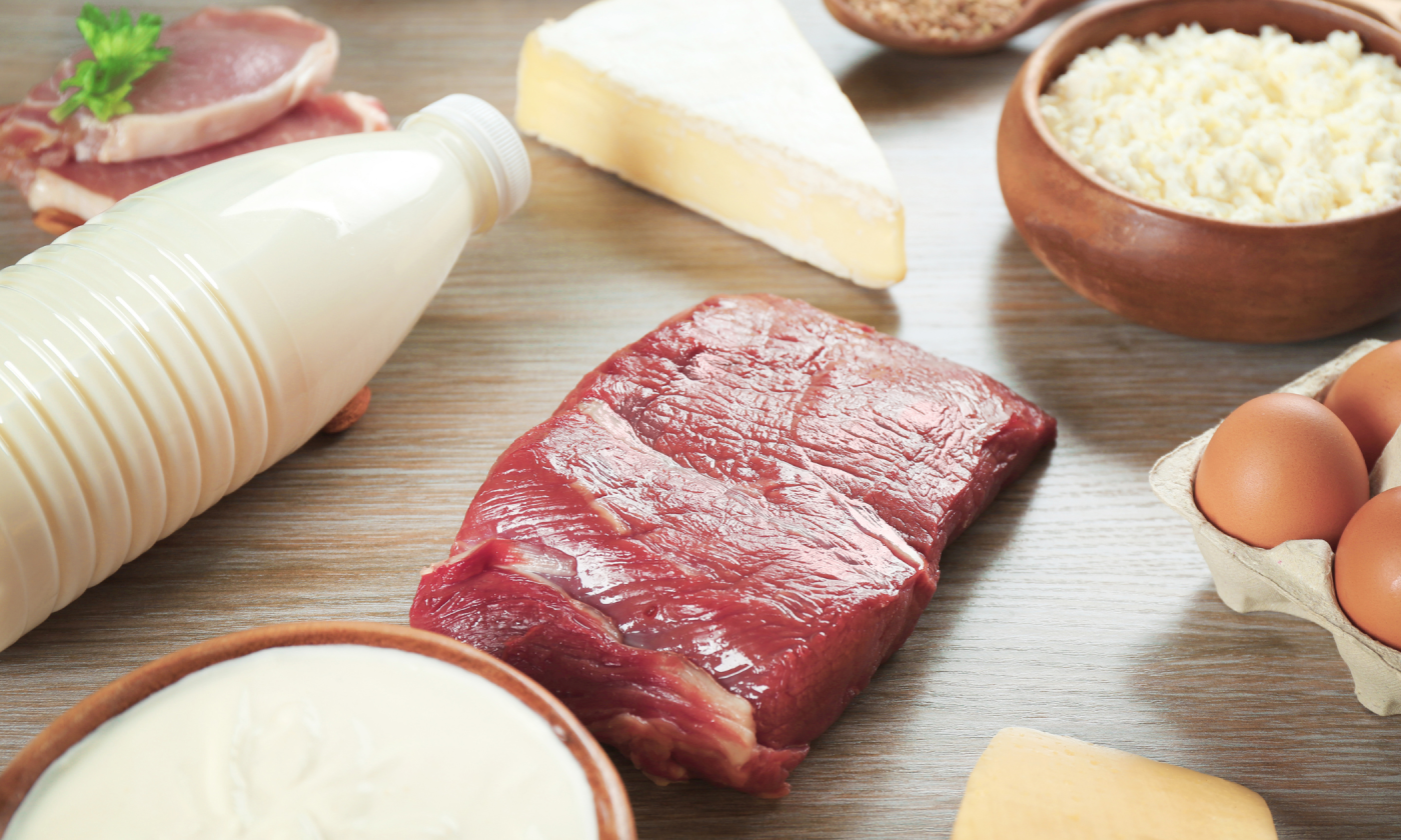 Why am I Gaining Weight on the Carnivore Diet? The Hart of Health